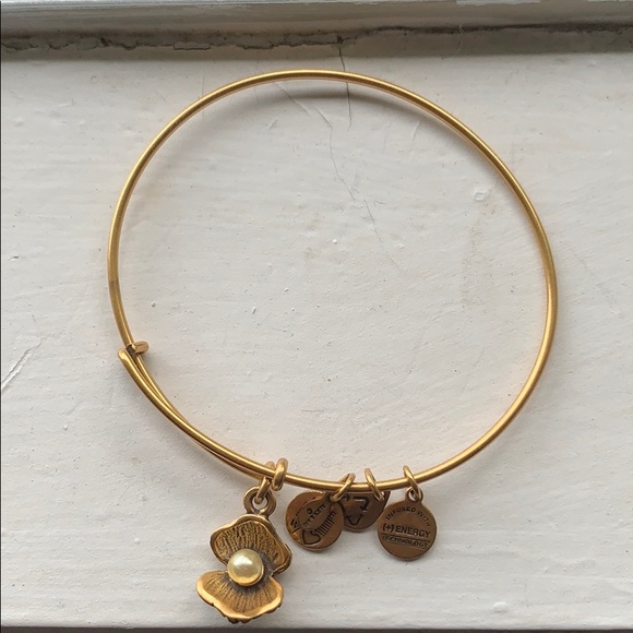 Alex & Ani Bracelet - Picture 1 of 2
